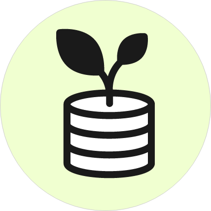 Virtual CFO Services